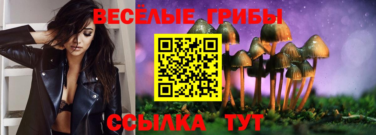 Псилоцибиновые грибы Magic Shrooms Хабаровск