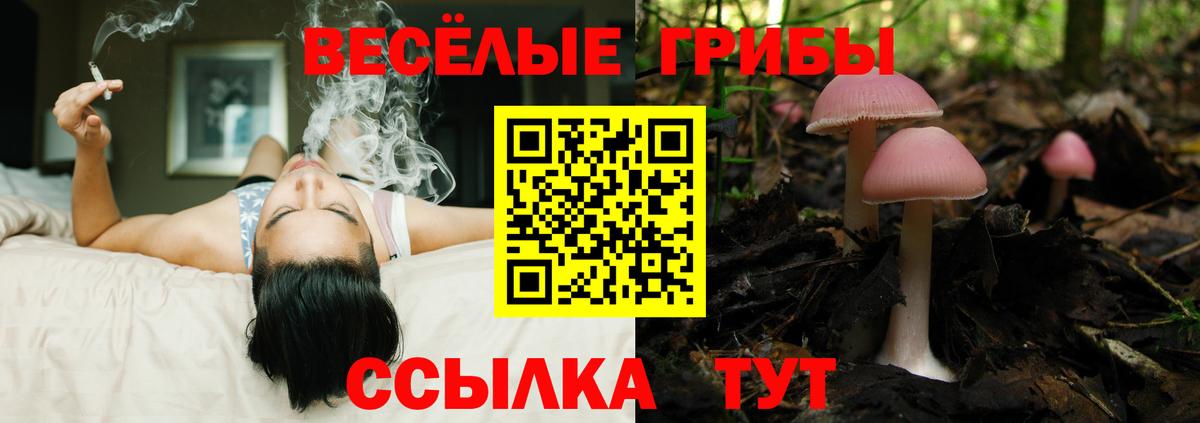 закладки  Галлюциногенные грибы Cubensis  Вход с VPN  Хабаровск  Галлюциногенные грибы MAGIC MUSHROOMS 